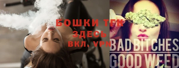 apvp Белокуриха