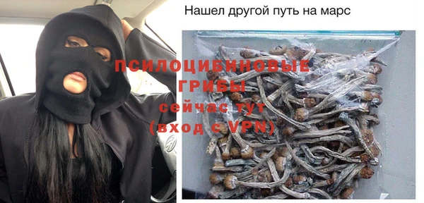 apvp Белокуриха