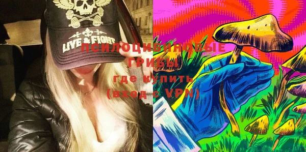 apvp Белокуриха