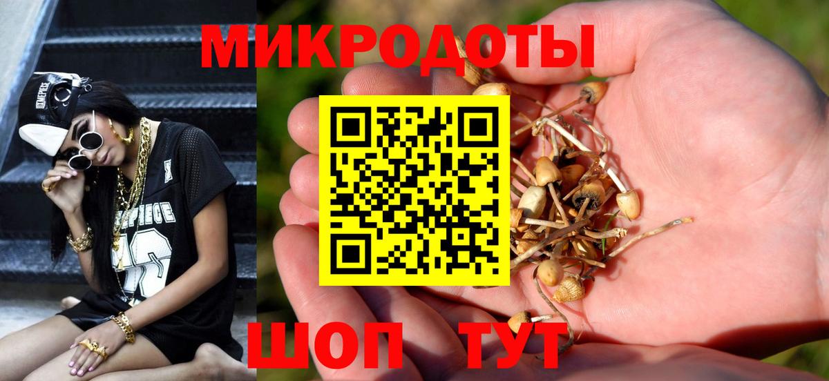 Псилоцибиновые грибы мицелий Валуйки