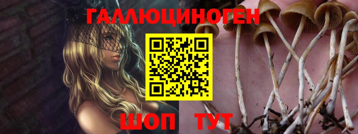 Валуйки  как найти наркотики  Вход с VPN  Галлюциногенные грибы Cubensis  Псилоцибиновые грибы MAGIC MUSHROOMS 
