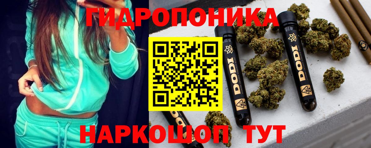 МАРИХУАНА конопля Валуйки